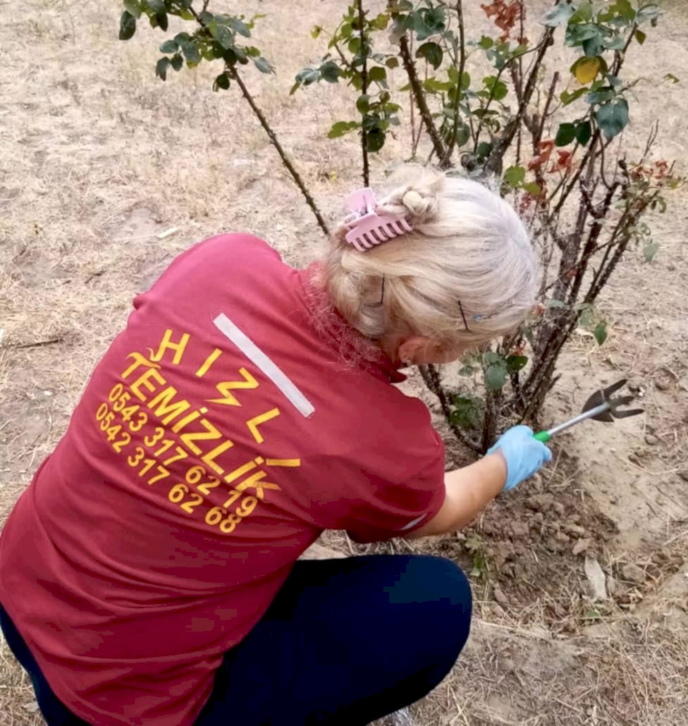 Bahçe Bakımı